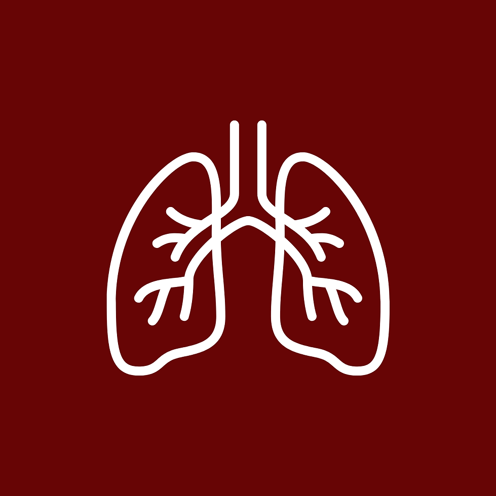Helps maintain upper respiratory health and comfort_