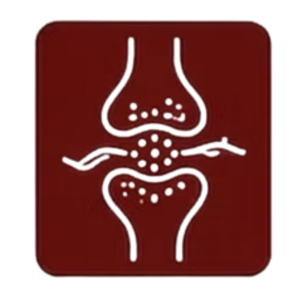 100mg-clinically-supported-l-theanine-strength.png