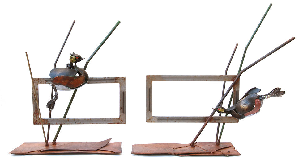 MODERN FAMILY, Podiceps nigricollis