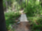 trickledown1
