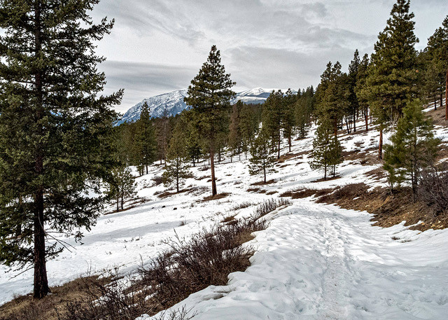 Snow remains on the trail, but is starting to melt and reveal bare patches of ground
