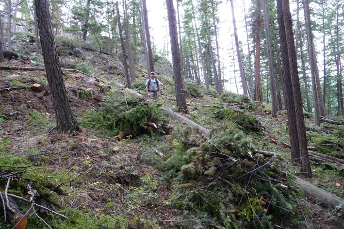 Some of the piles drying out before burning along Southwest Passage Trail.