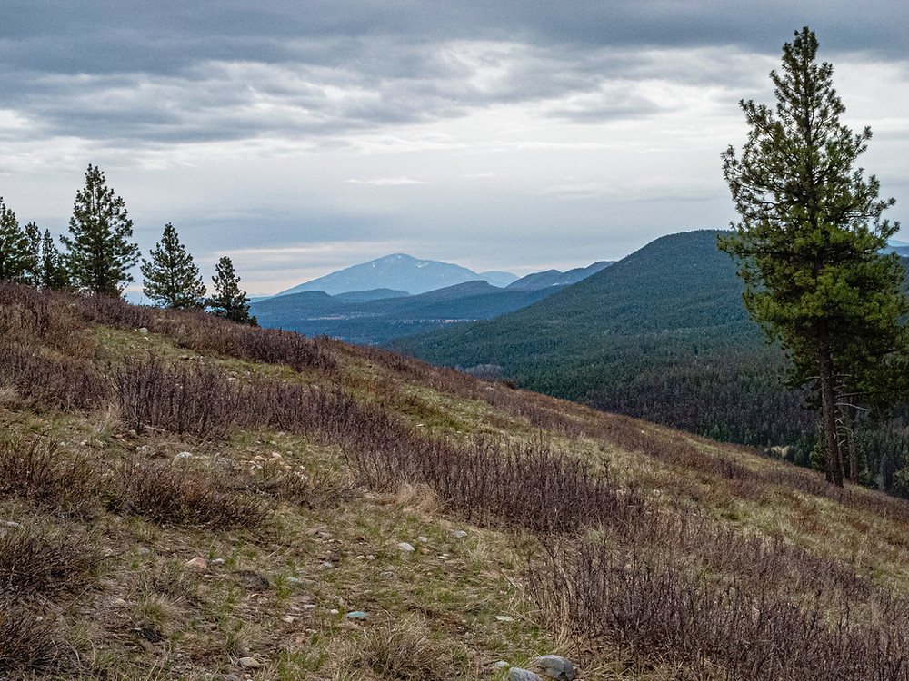 Green grass begins to show up on a hillside with mountains in the distance