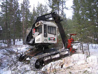 Sunflower Hill Logging Complete - Feb. 2006