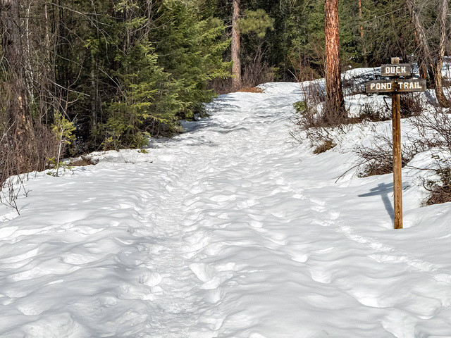 The Duck Pond Trail signpost marks the start of the snow-covered hill.