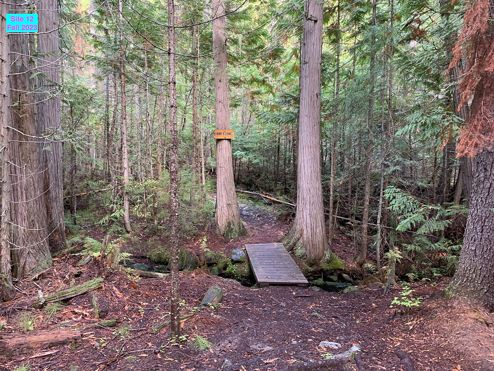 KNP Landscape Photo Documentation Project Update