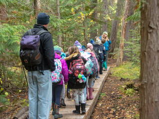 New wetland program impresses students, educators