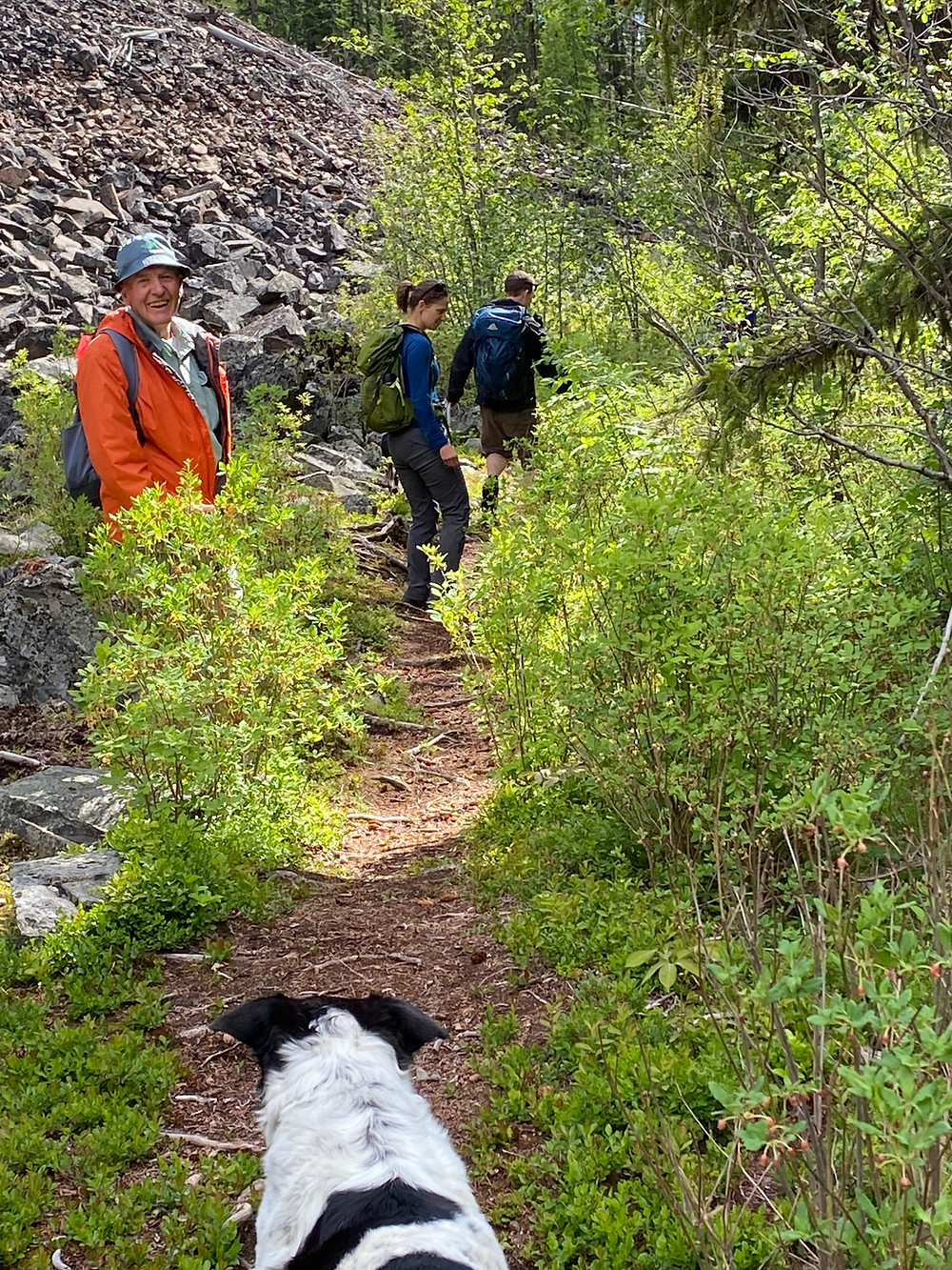 Three people hike along a trail with a talus slope to their left. In the foreground, a black and white dog walks away from the camera