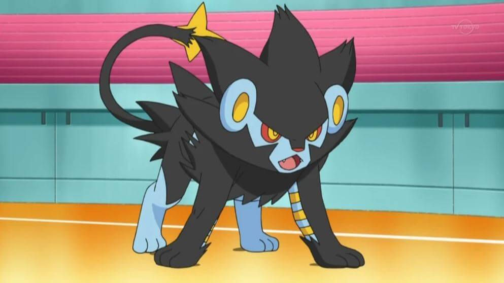 Top 10 Best Electric Type Pokemon Ever Slowpoke Tail