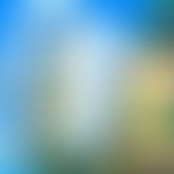 What's good against bug Pokemon?