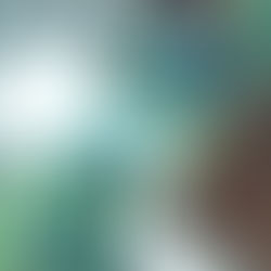 The Best Legendary Electric Type Pokemon Ever - Ranked