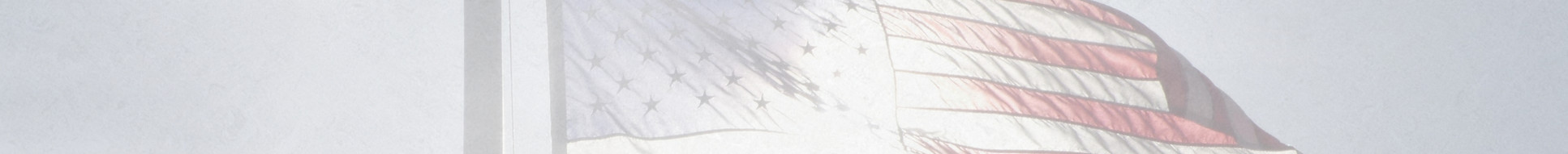 A photo of an American Flag flying in the wind.