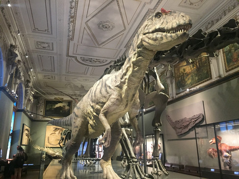 Viyana Gezi Rehberi: Gezilecek Yerler