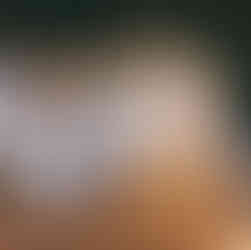 Viyana Seyahat Rehberi