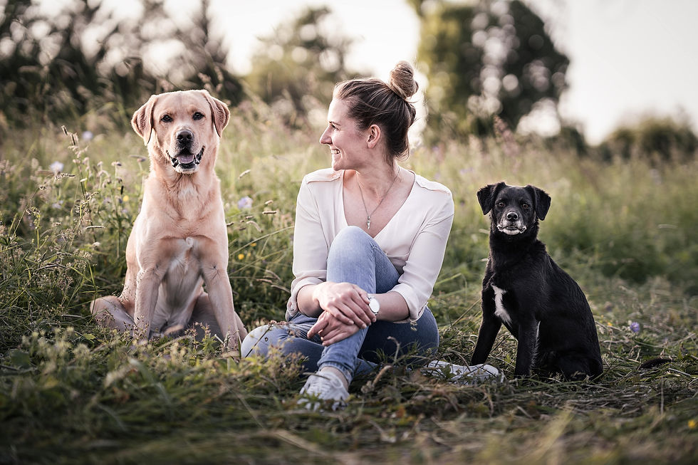 Kim Saller Hundetrainerin mit ihren beiden Hunden, Hundeschule, Welpenkurs, Junghundekurs, Hundeschule Reutlingen, Social Walk