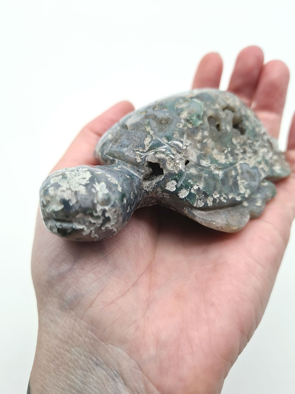 Thumbnail: Moss Agate Turtle 
