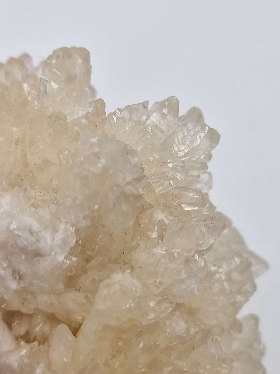 Thumbnail: Calcite Flower