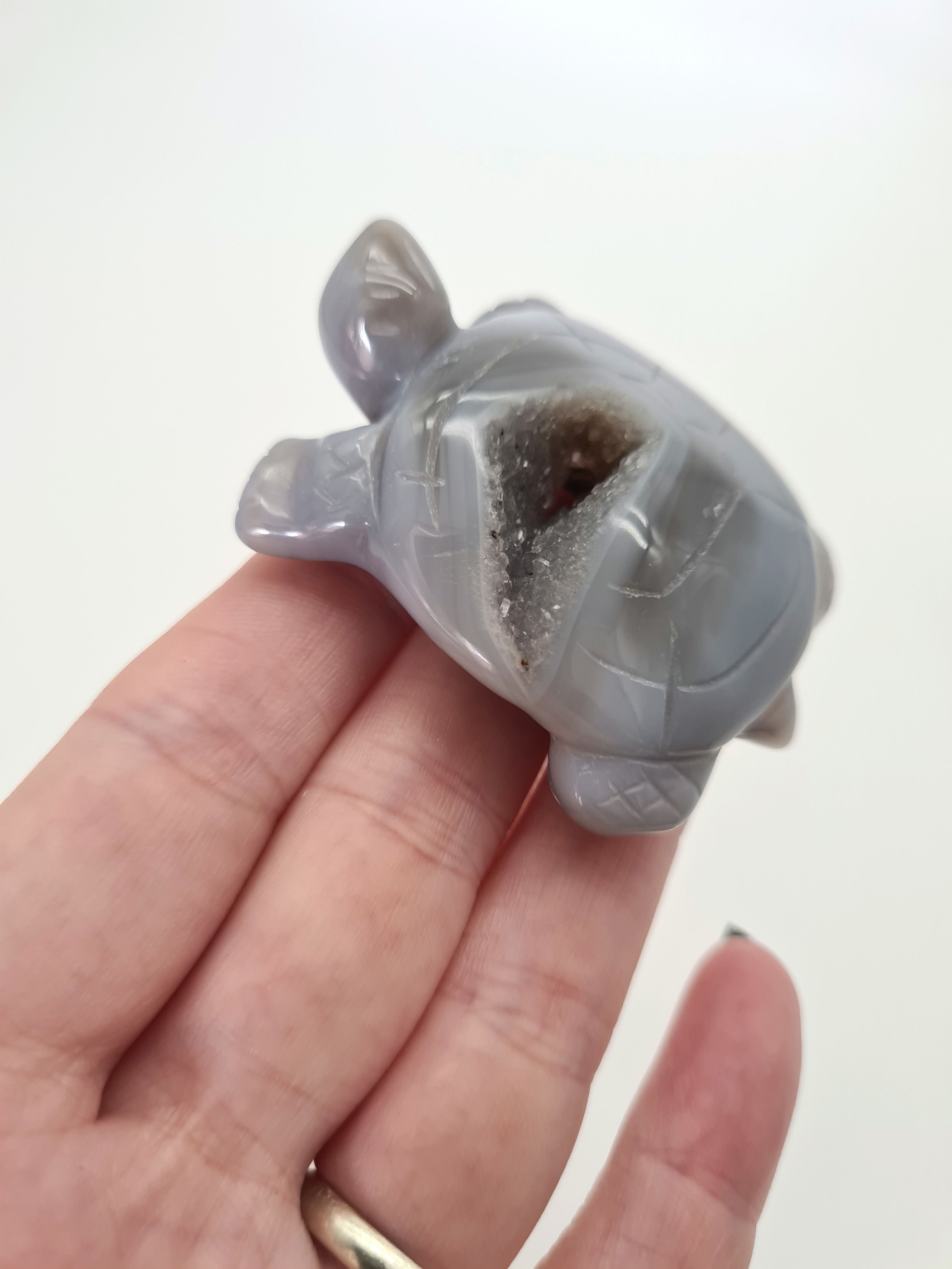 Druzy Agate Turtle || 2