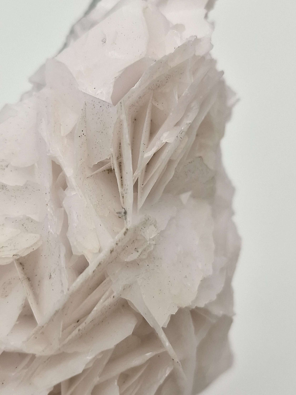 Thumbnail: White Rose calcite || 2 