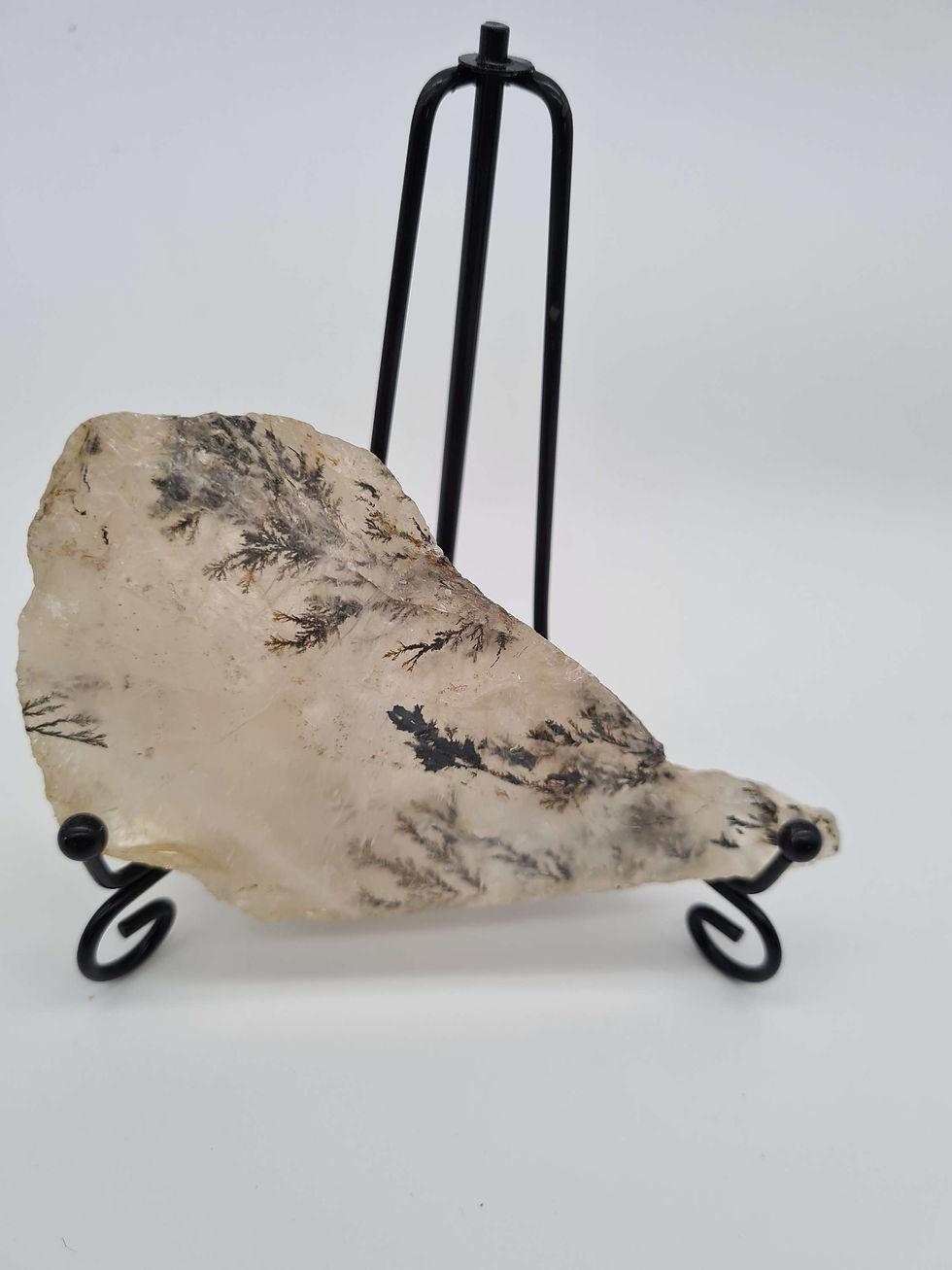 Thumbnail: Dendritic Agate Slab || 2 
