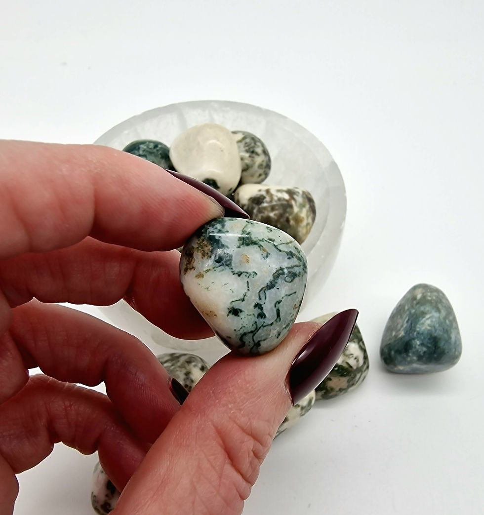 Thumbnail: Dendritic agate tumble stone