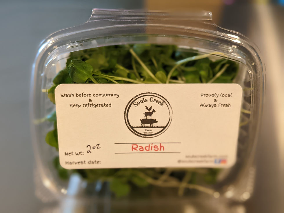 Daikon Radish Microgreens, 2/oz package Souls Creek Farm