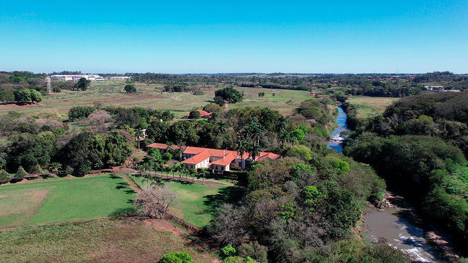 Fazenda Pau D'Alho - Campinas - SP