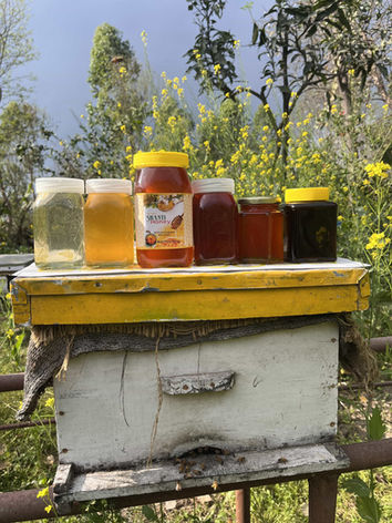 IMG_6395 jpg -min.jpg