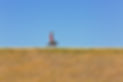 MAU_0176.jpg