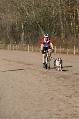 9.03 (1) sport met fiets 2.jpg