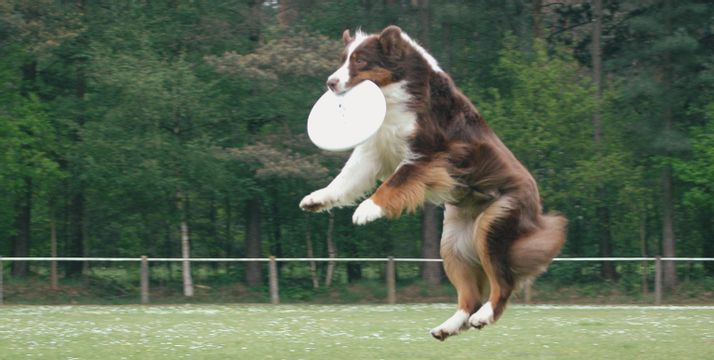Debby - WEL lid (3) frisbee.jpg
