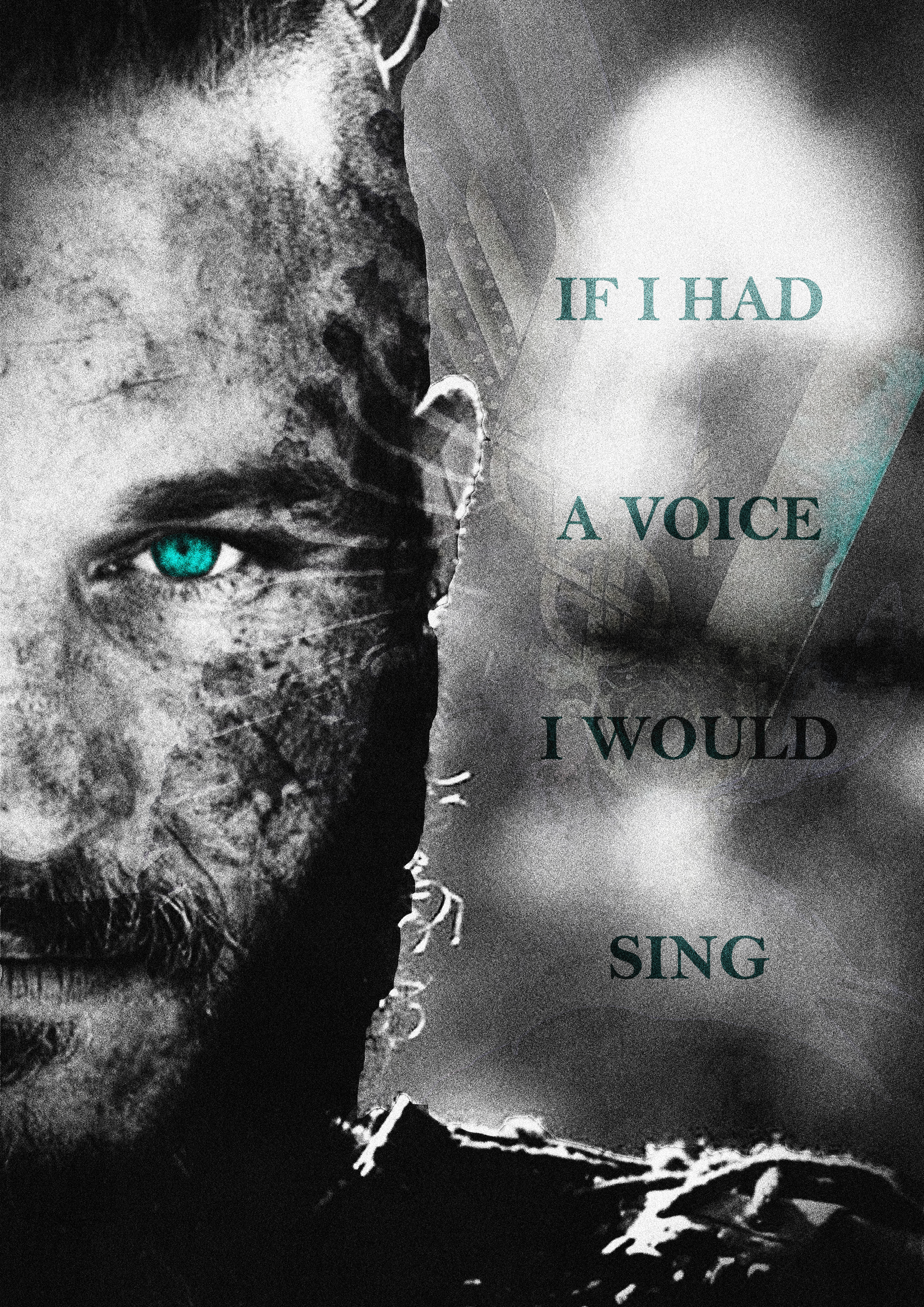 Vikings Poster