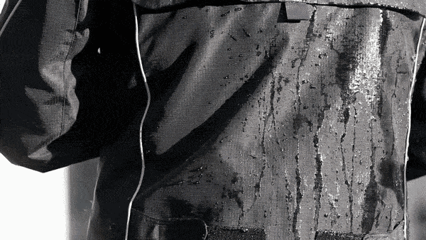 feature1_8.gif