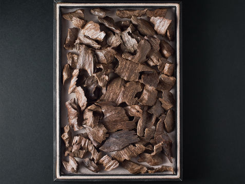 2024.07.08 Bashammakh08718 copy