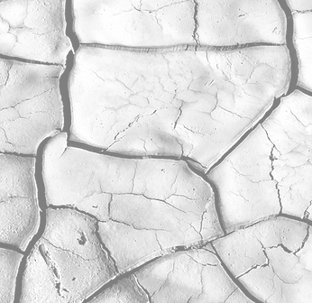Cracked Earth