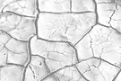 Cracked Earth