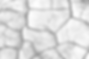 Cracked Earth