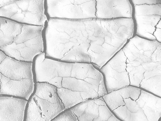 CLIMATE CHANGE/GLOBAL WARMING