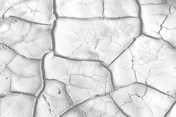 Cracked Earth