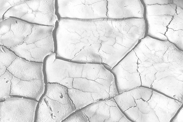 Cracked Earth