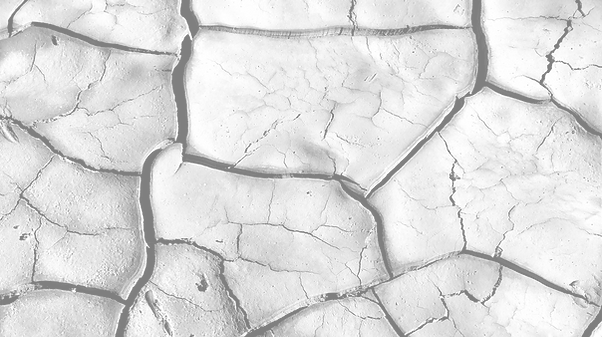 Cracked Earth