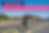 consultation citoyenne sous forme de questionnaire sur l ammenagement d une voie cyclable