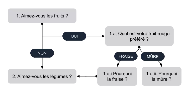 schemas d un questionnaire avec sauts conditionnals