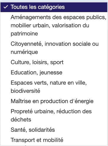 capture d ecran des catagories parametrables sur la plateforme de budget participatif cap collectif