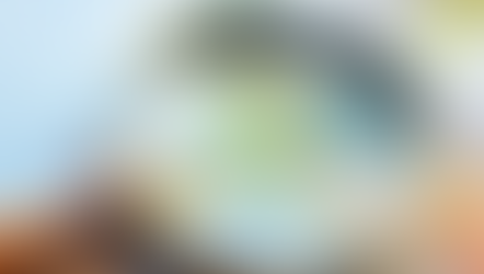 Le budget participatif à la conquête des départements