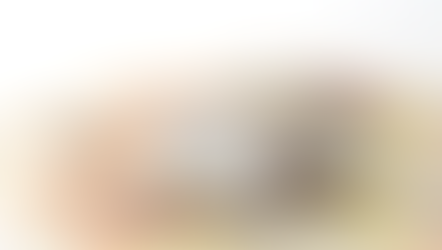 Fianza para cubrir impagos del alquiler