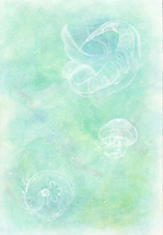 くらげハーバリウム4.png