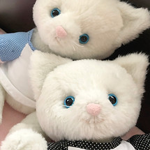 IMG_1755のコピー.jpg
