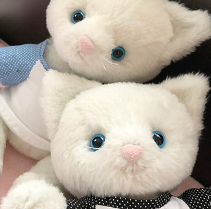 IMG_1755のコピー.jpg