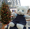 PB120105s.jpg